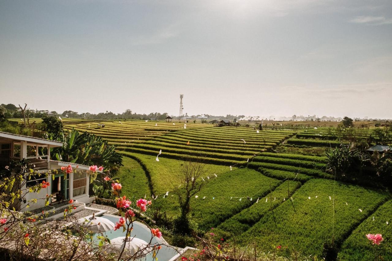 Boho Canggu Eksteriør bilde